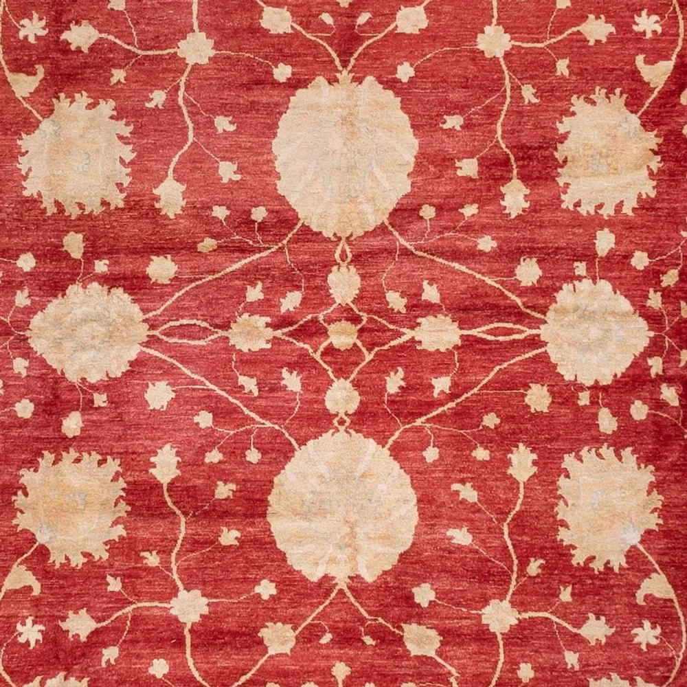 Ziegler Teppe - 521 x 400 cm - beige