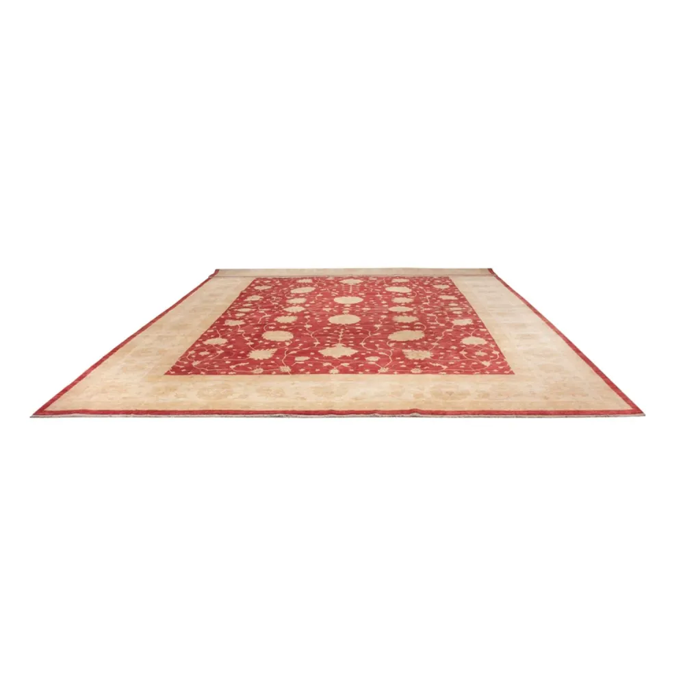 Ziegler Teppe - 521 x 400 cm - beige