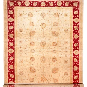 Ziegler Teppe - 584 x 394 cm - beige