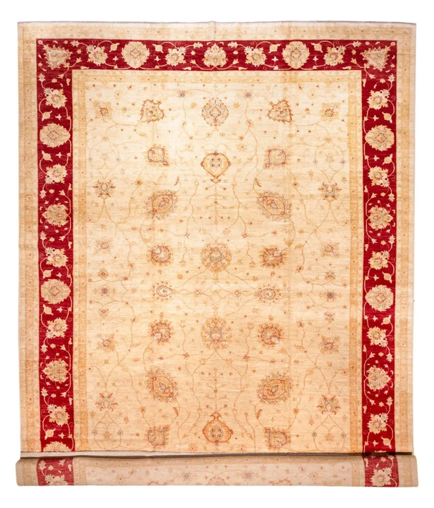 Ziegler Teppe - 584 x 394 cm - beige