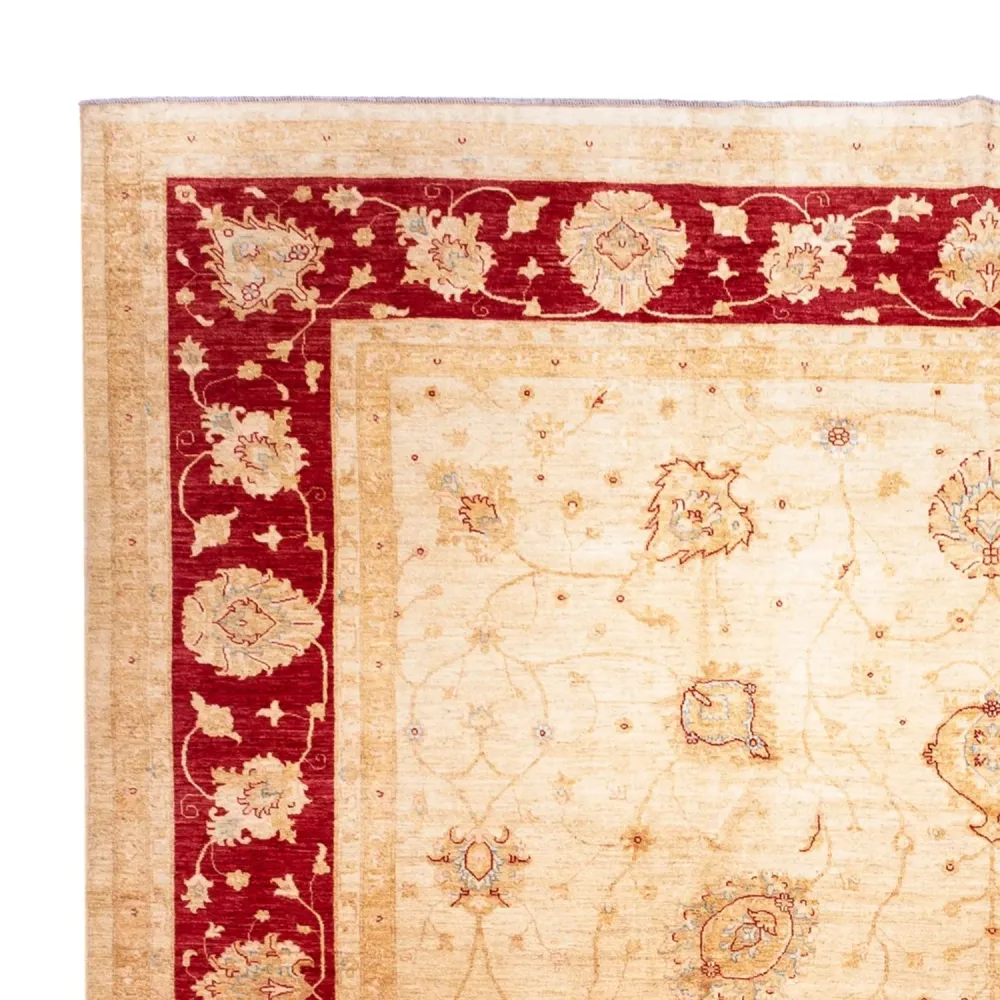Ziegler Teppe - 584 x 394 cm - beige