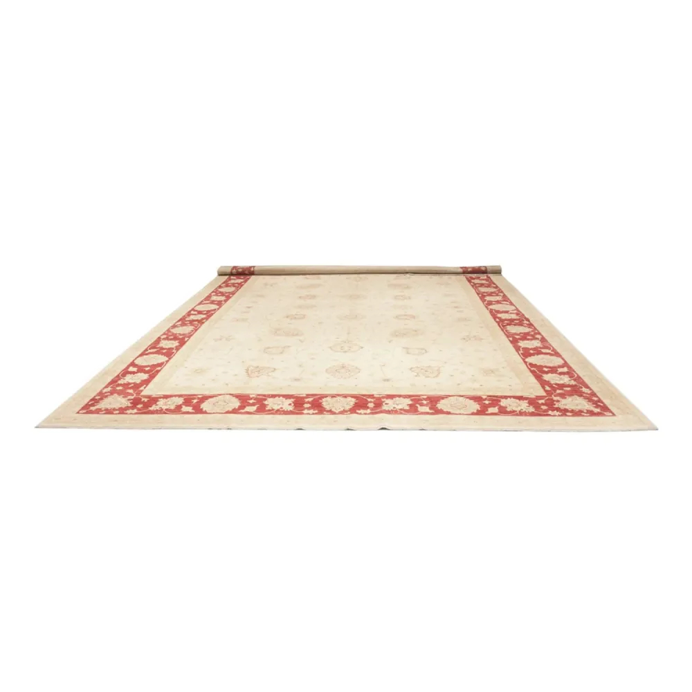 Ziegler Teppe - 584 x 394 cm - beige