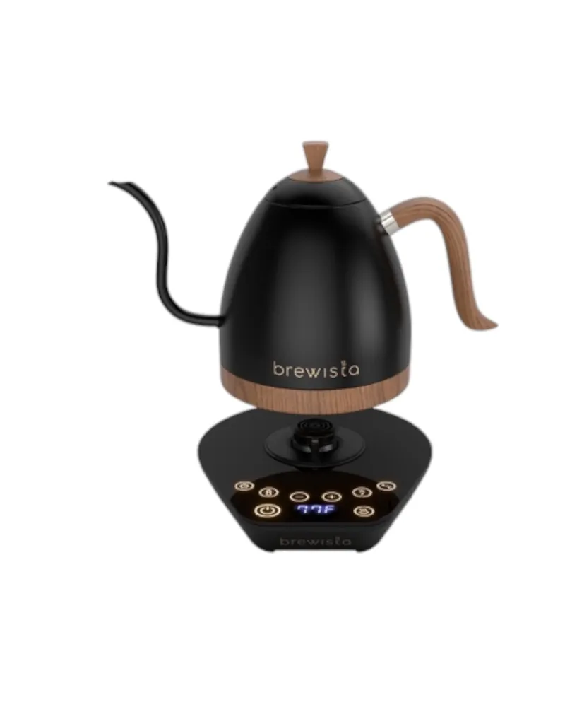 Brewista Artisan 1,0 l vannkoker med variabel svanehals - matt svart