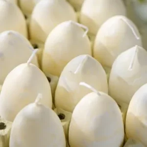 Egg parafin 1 stk