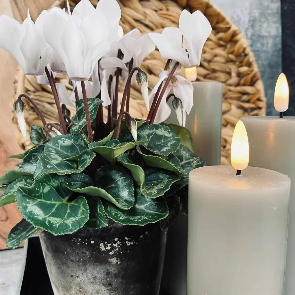 Firkantet brett i betong-look – Mellom