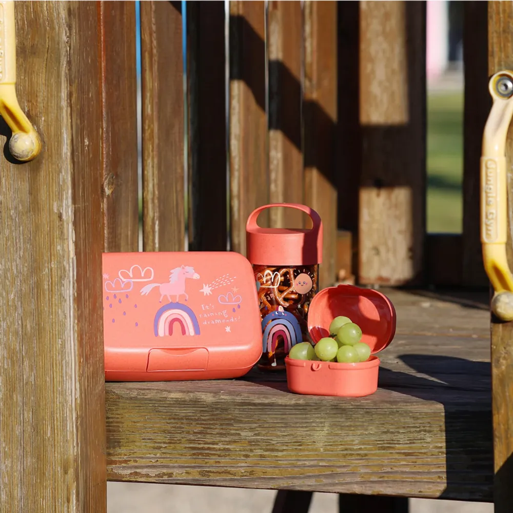 Koziol Organic Coral Red Lunch Box Med Separation Skål Candy L Dreams