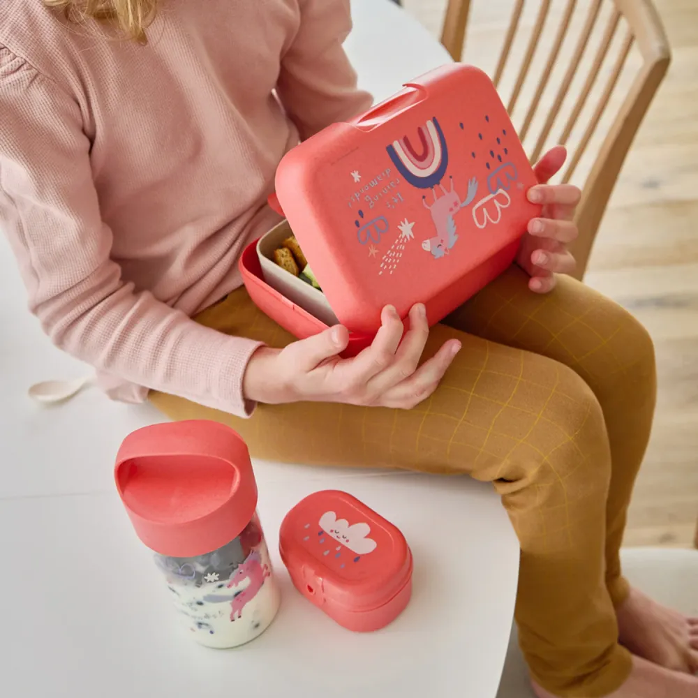 Koziol Organic Coral Red Lunch Box Med Separation Skål Candy L Dreams