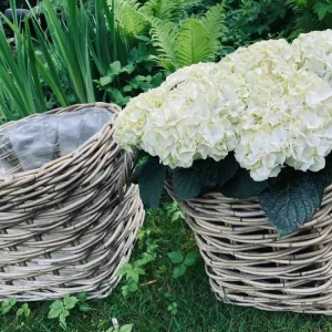 Plantekurv - Grå Rattan - Stor