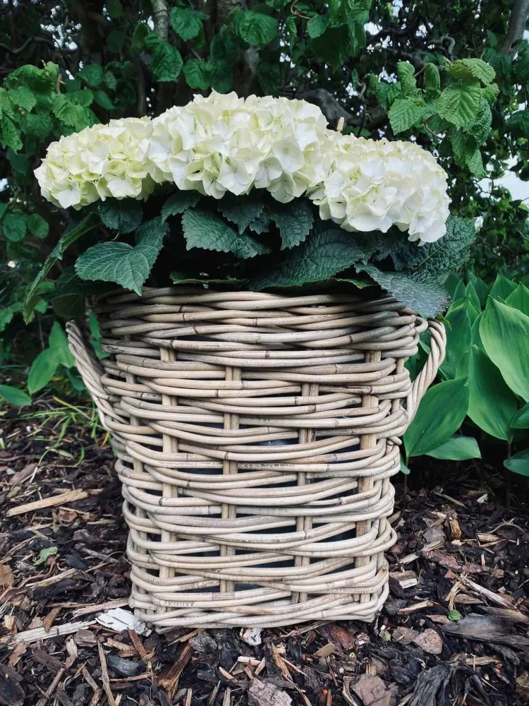 Plantekurv - Grå Rattan - Stor